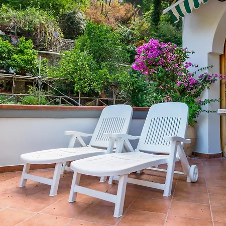 Elegant Terrace *